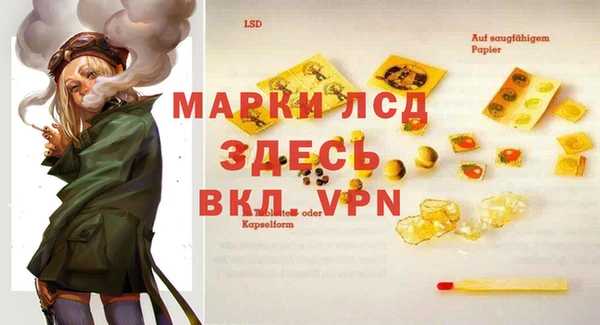 ешки Аркадак