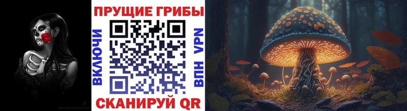 Галлюциногенные грибы MAGIC MUSHROOMS  Спасск 
